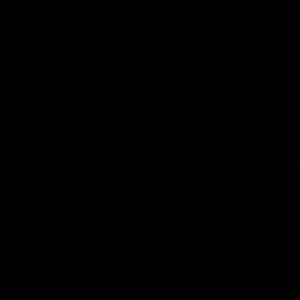 Meet your Posher, Alyesha